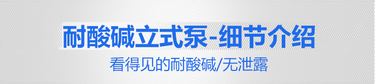 1KP立式泵細節介紹