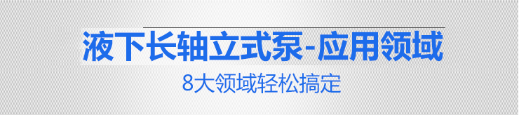 1KPL立式泵8大領域