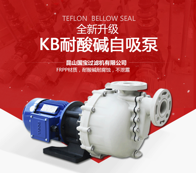 220v小型耐酸堿自吸泵產品圖